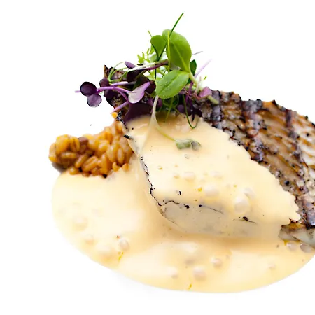Alga 4* Calella De Palafrugell