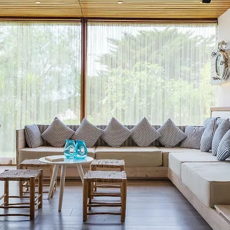 Alga Calella De Palafrugell