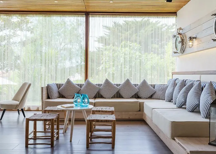 Alga Calella De Palafrugell