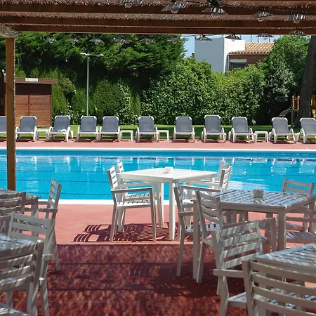 Alga Calella De Palafrugell