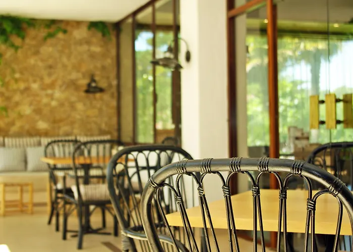 Alga Hotel 4*