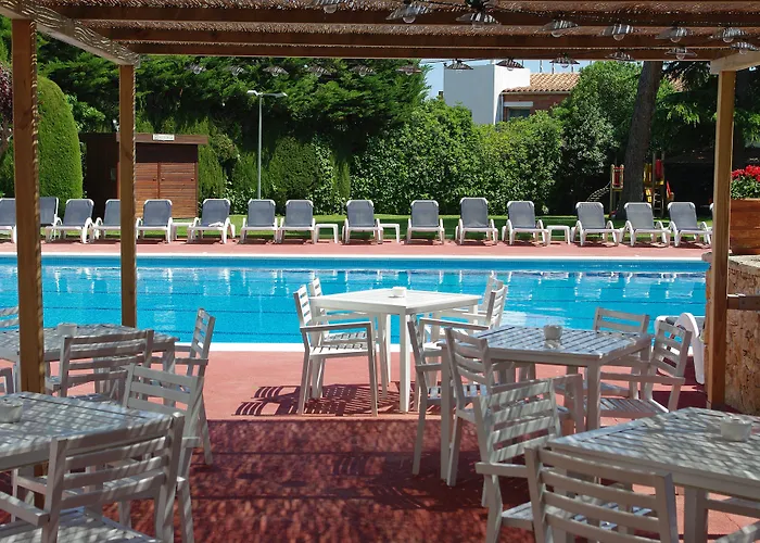 Alga Calella De Palafrugell